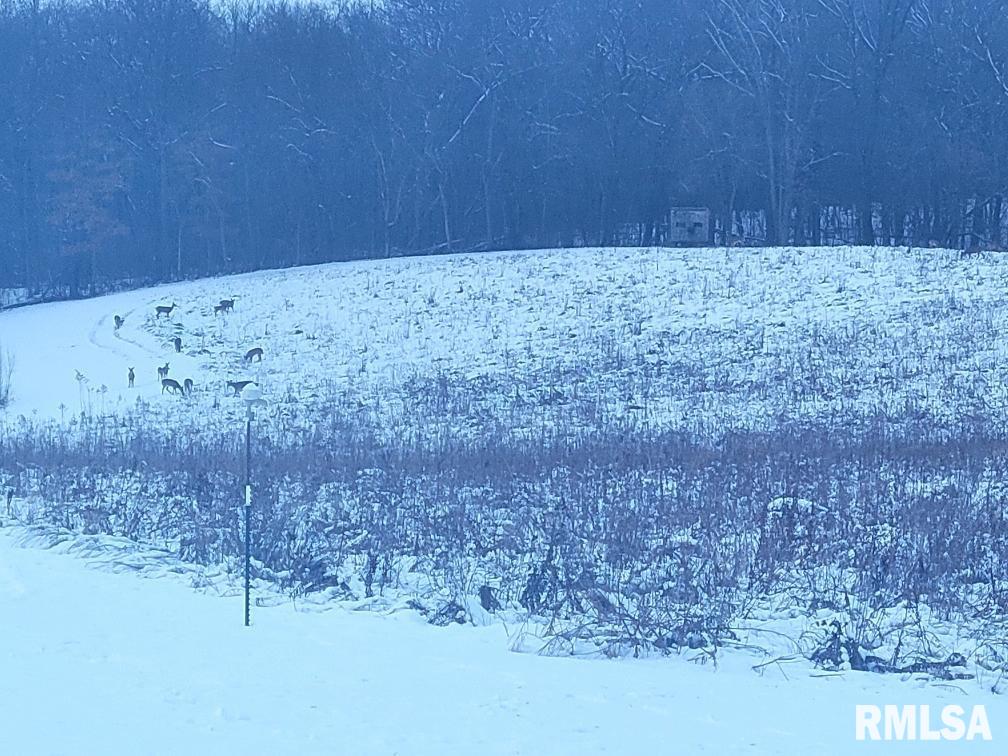 1066 County Road 1150 North Henry, IL 61537 - Photo 83 of 84