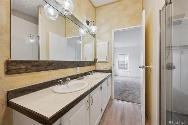 a bathroom with a sink a mirror and a shower