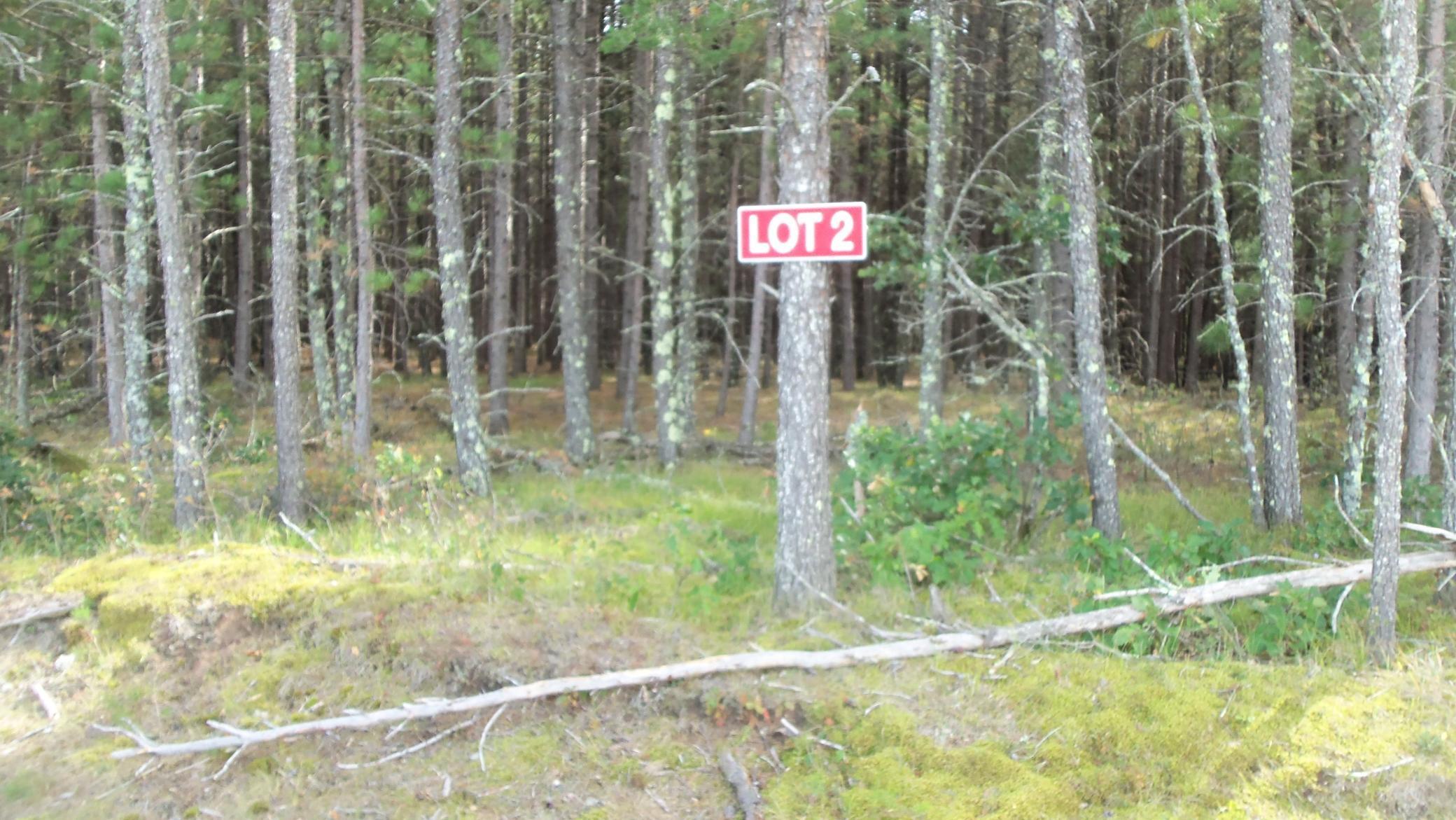 Lot 2 Big Sand Lake Road Minong, WI 54859 - Photo 1 of 1 Gallery Image 1