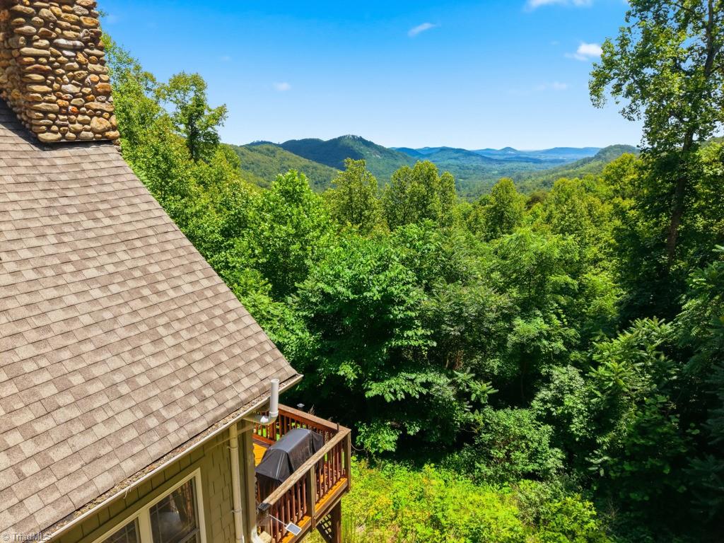 255 Treadway Ridge Road Moravian Falls, NC 28654 - Photo 7 of 50