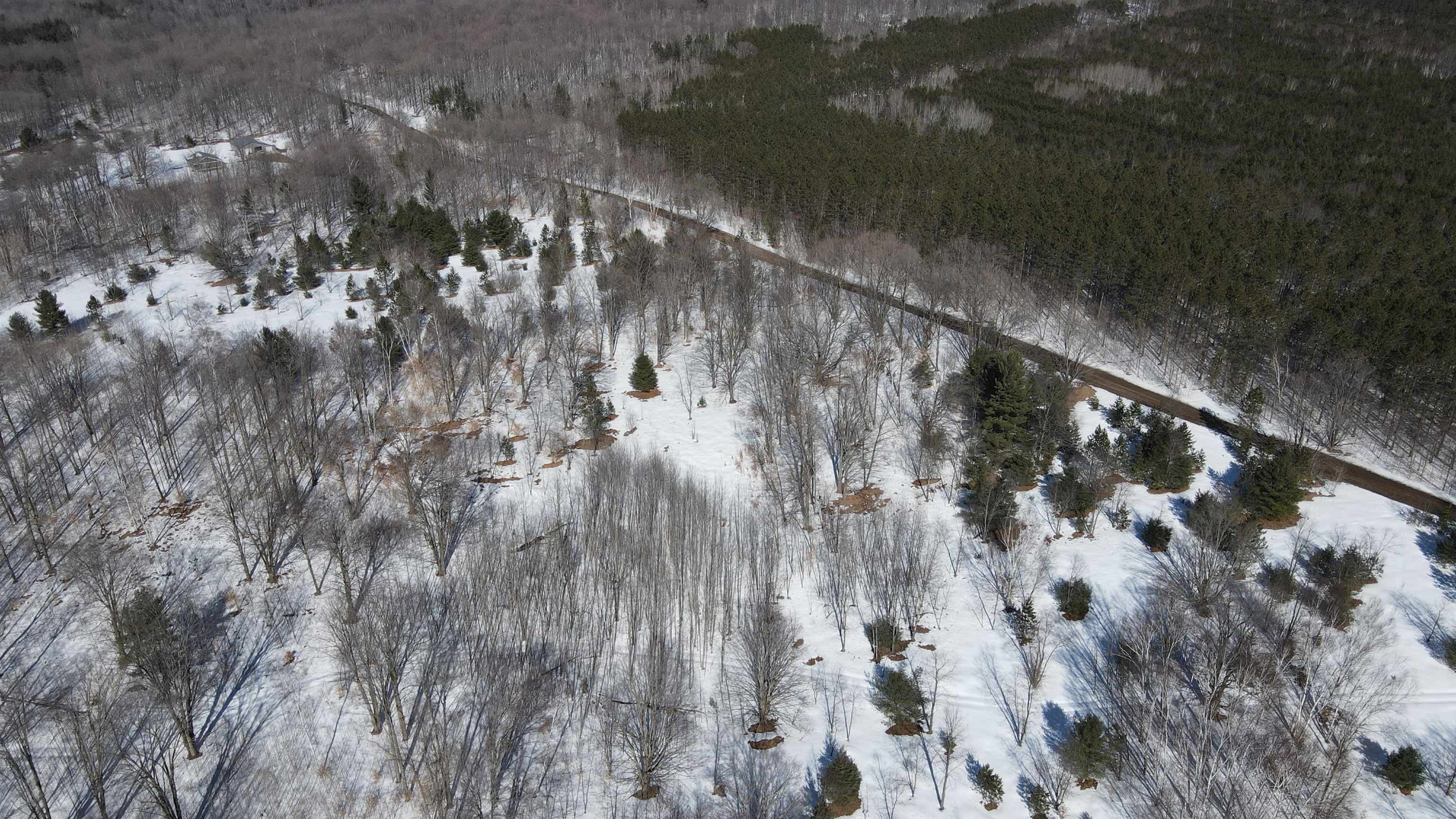 Southeast Campbell Road Southeast Kalkaska, MI 49646 - Photo 15 of 23