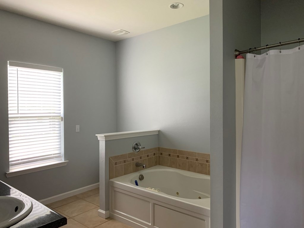 4950 Eddins Road Dothan, AL 36301 - Photo 19 of 30 MBA Tub