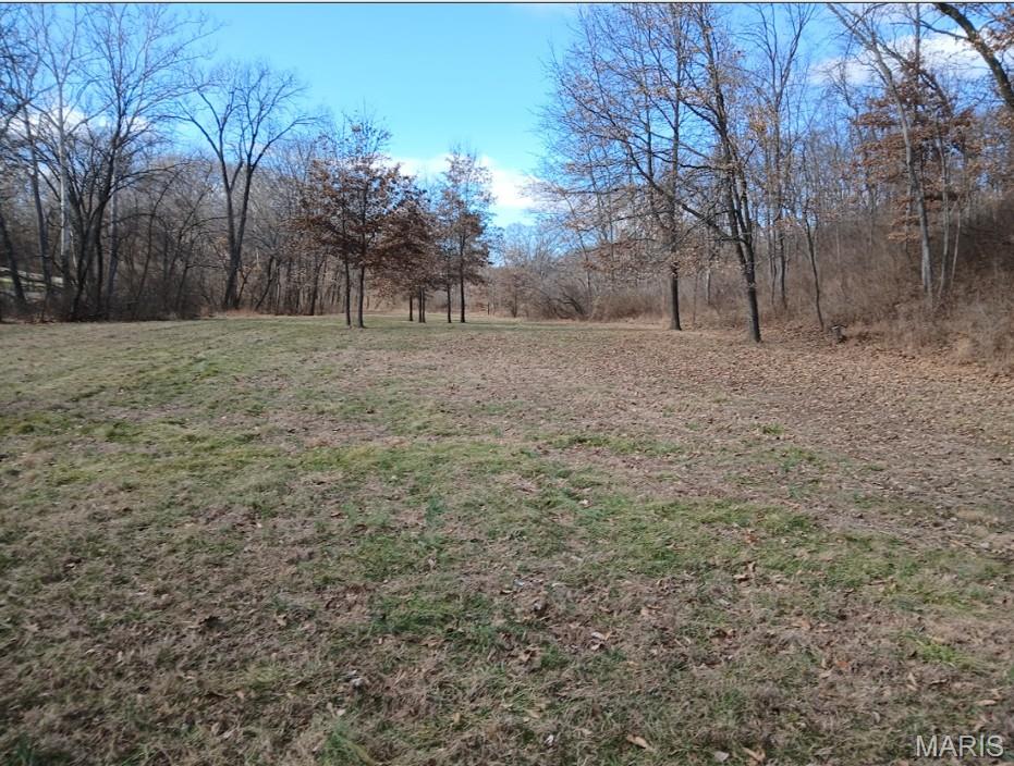 # Windy Hill Road Staunton, IL 62088 - Photo 6 of 10