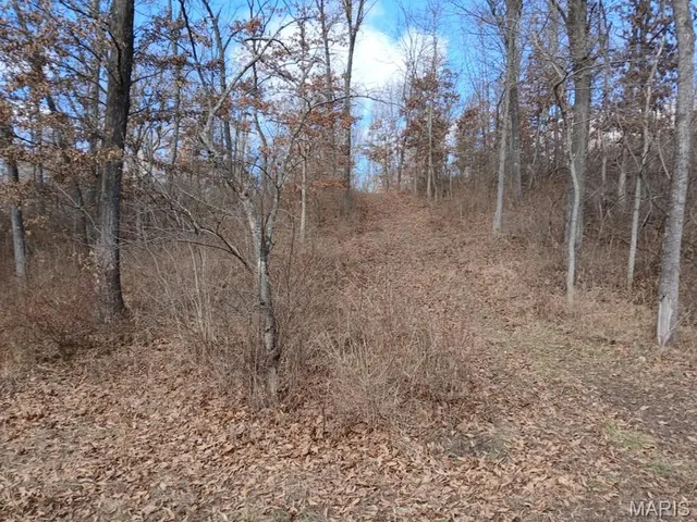 $100,000 | # Windy Hill Road, Staunton, IL 62088