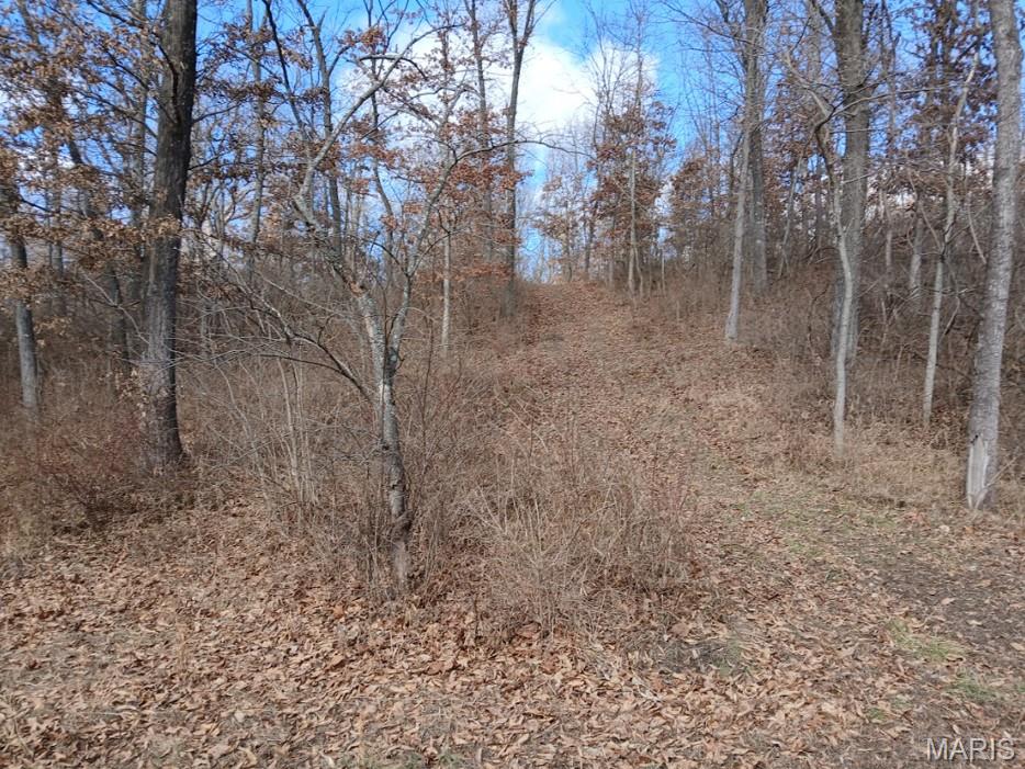 # Windy Hill Road Staunton, IL 62088 - Photo 7 of 10