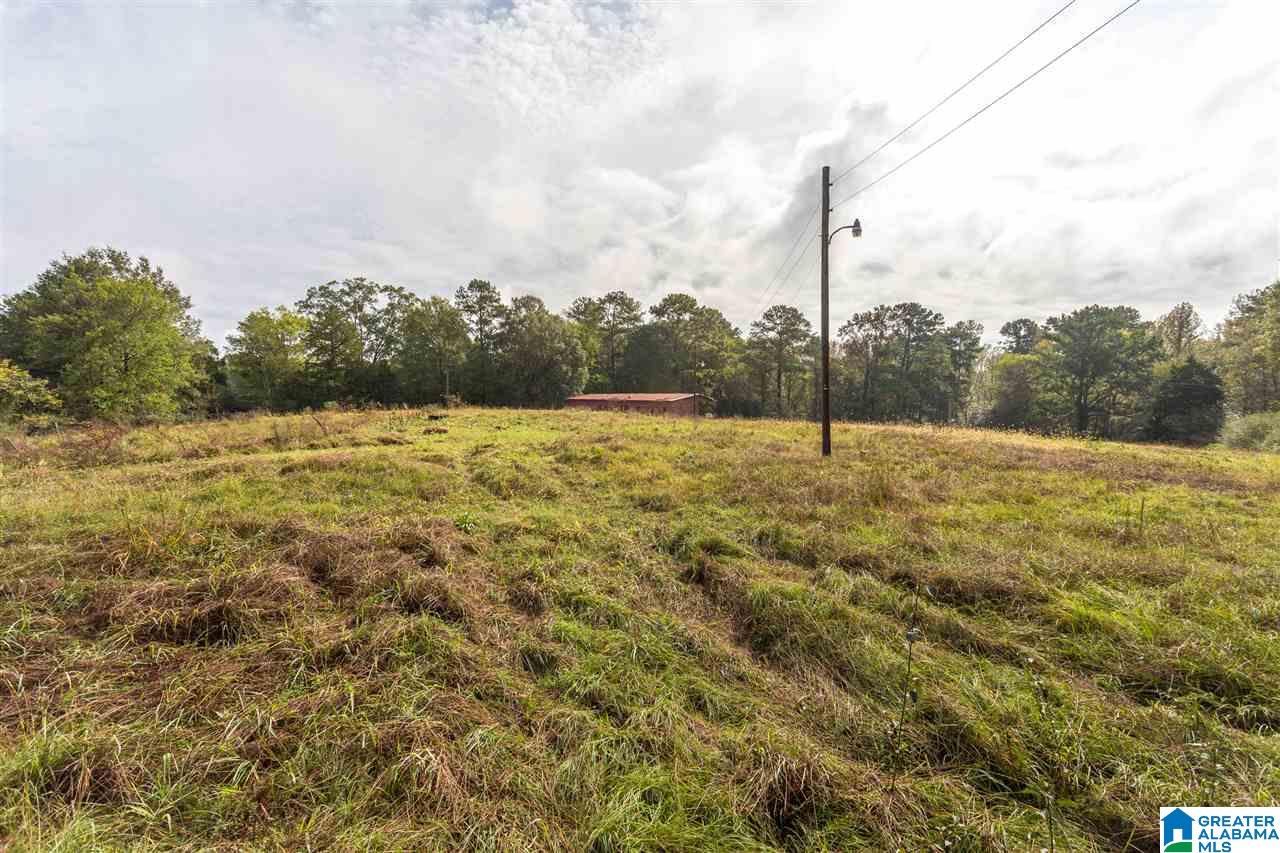 4103 Brecon Circle Talladega, AL 35160 - Photo 45 of 47