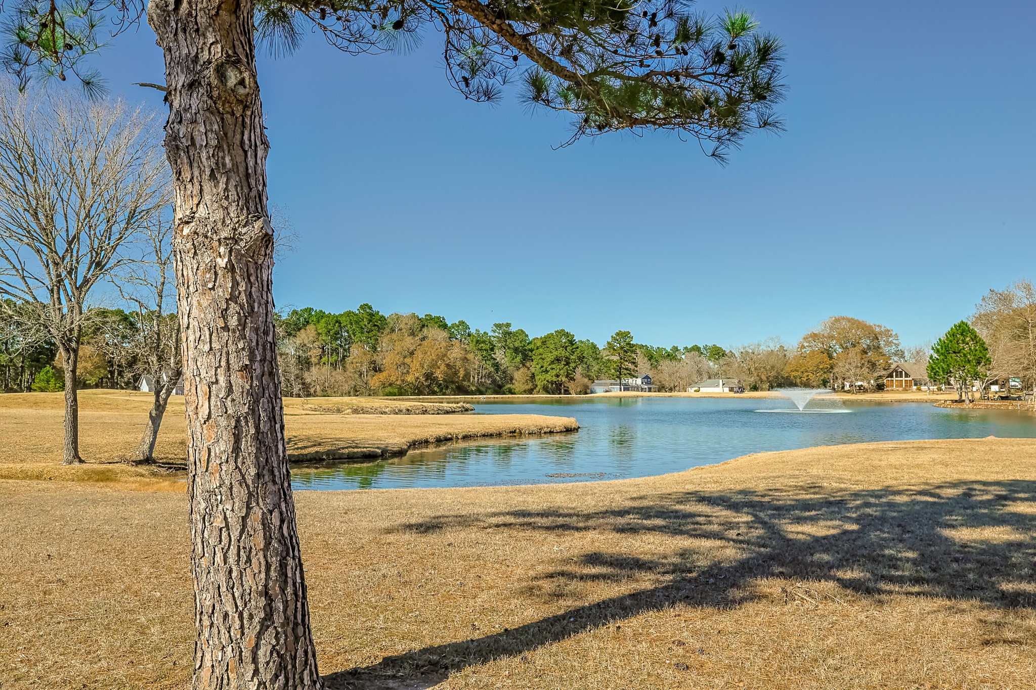 15 Great Oak Trinity, TX 75862 - Photo 16 of 26 a view of a lake with a mountain view