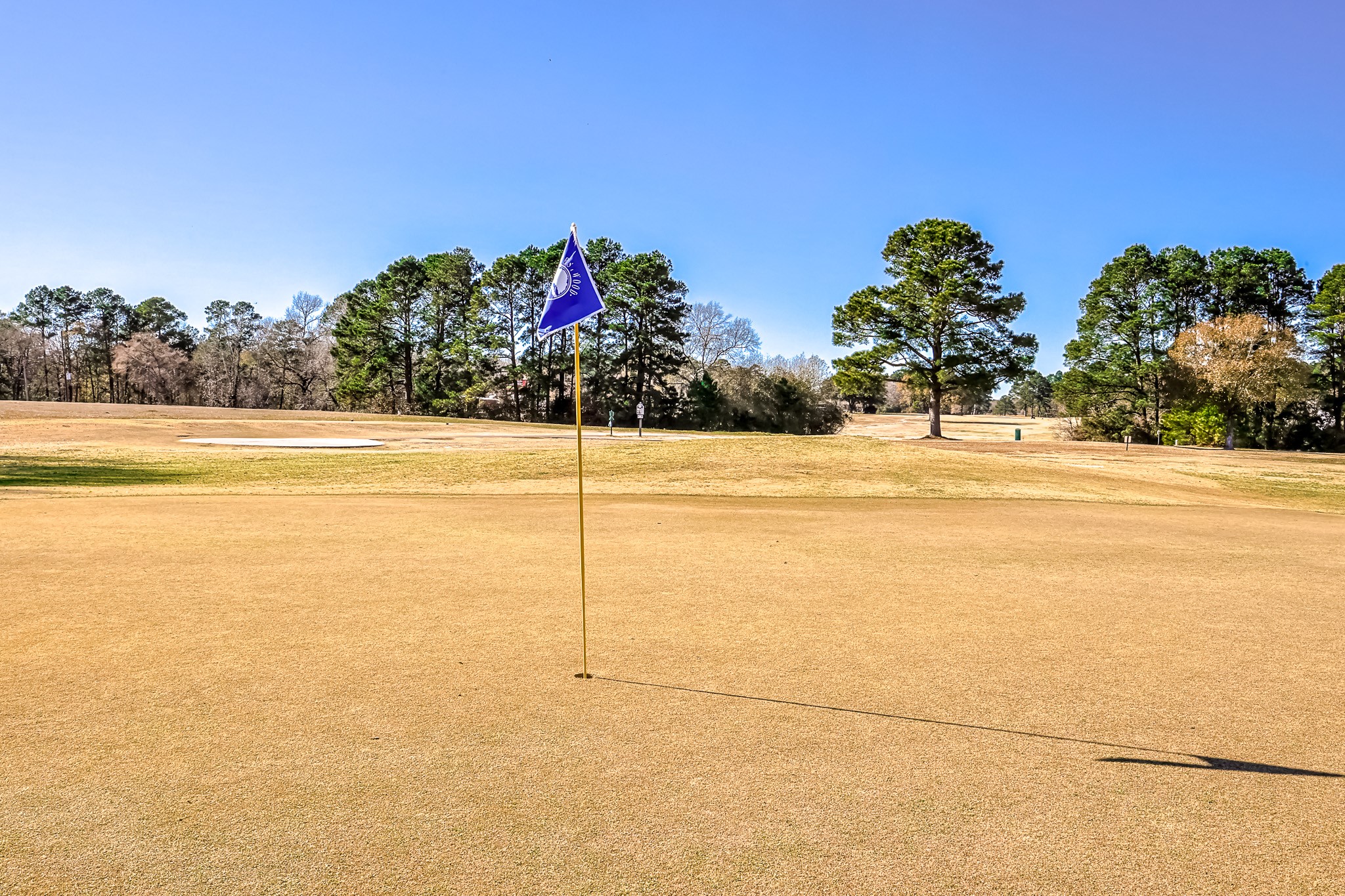 15 Great Oak Trinity, TX 75862 - Photo 18 of 26 a view of an ocean and beach