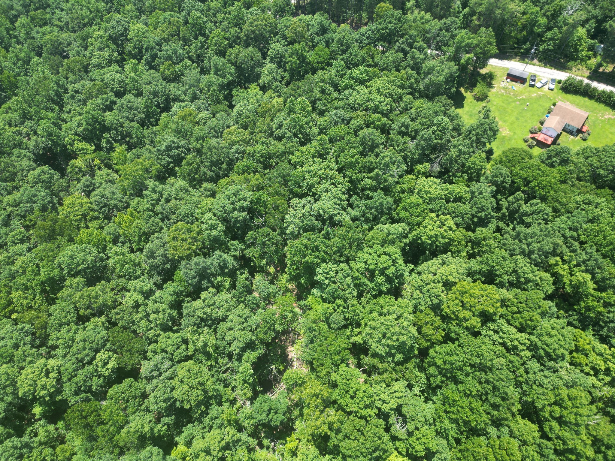 1462 Pope Circle Road Waynesboro, TN 38485 - Photo 11 of 45