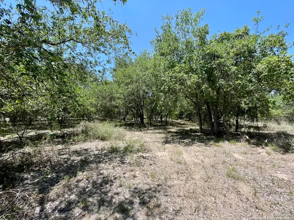 $109,900 | Tract 4 West King Lane, Normanna, TX 78142