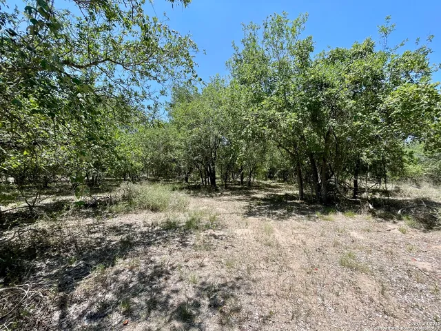 $109,900 | Tract 4 West King Lane, Normanna, TX 78142