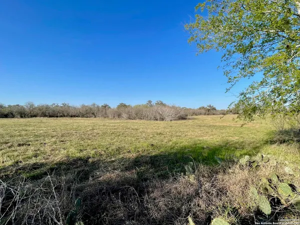 $109,900 | Tract 4 West King Lane, Normanna, TX 78142