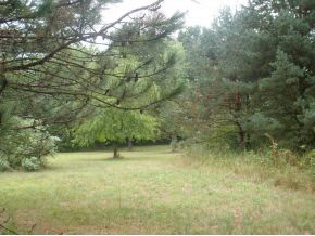 20840 9B Road Plymouth, IN 46563 - Photo 6 of 10 Gallery Image 6