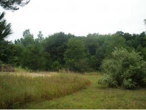 20840 9B Road Plymouth, IN 46563 - Photo 7 of 10 Gallery Image 7