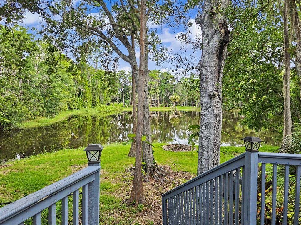 2202 Amity Court New Port Richey, FL 34655 - Photo 62 of 84 Gallery Image 62