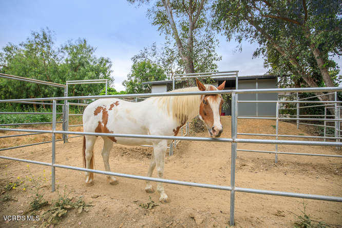 538 Valley Gate Road Simi Valley, CA 93065 - Photo 42 of 52 538 Valley Gate Rd Simi Valley-small-059