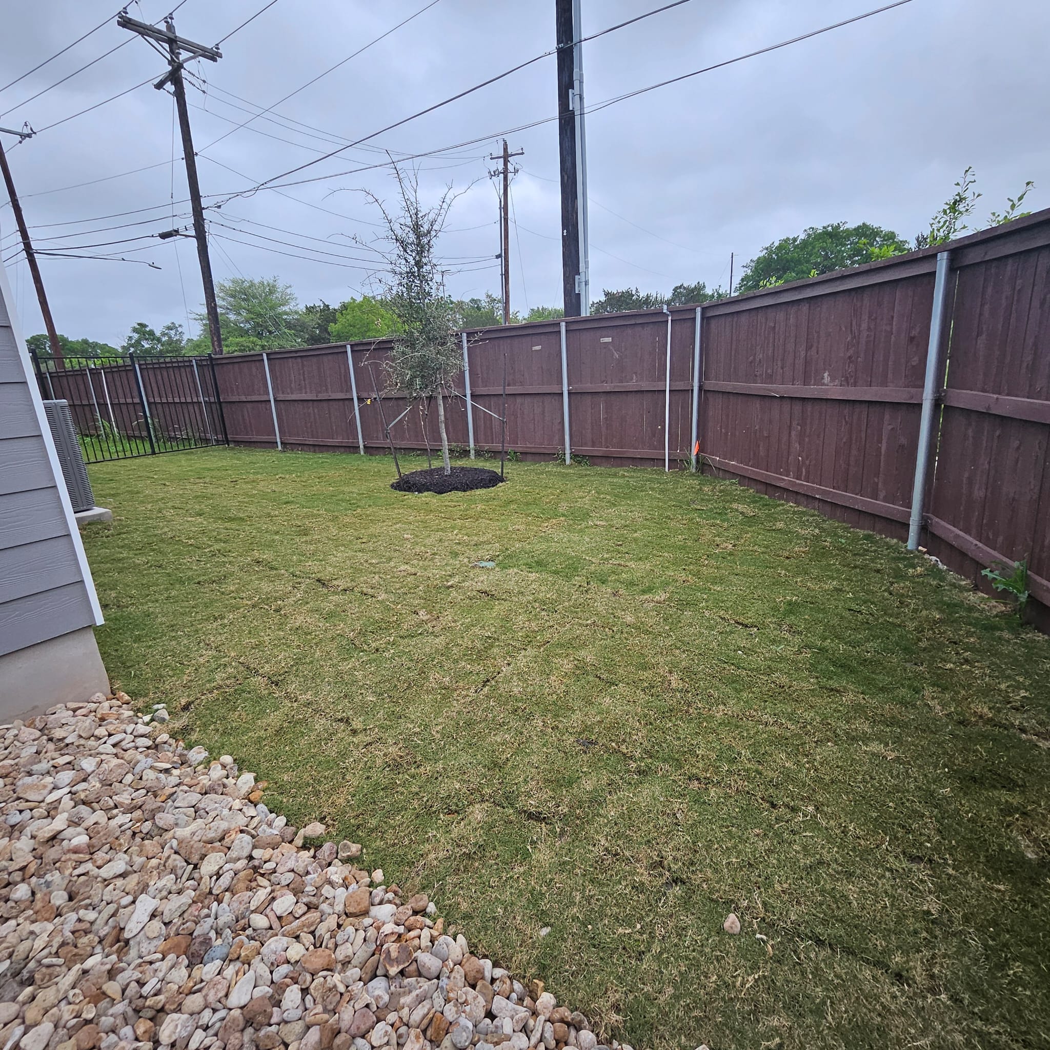 10017 Milton Albert Way Austin, TX 78748 - Photo 19 of 20 Backyard