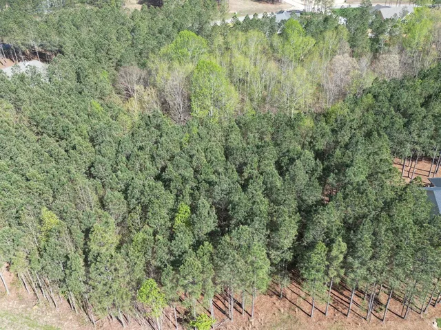 a view of a lush green forest with trees and houses