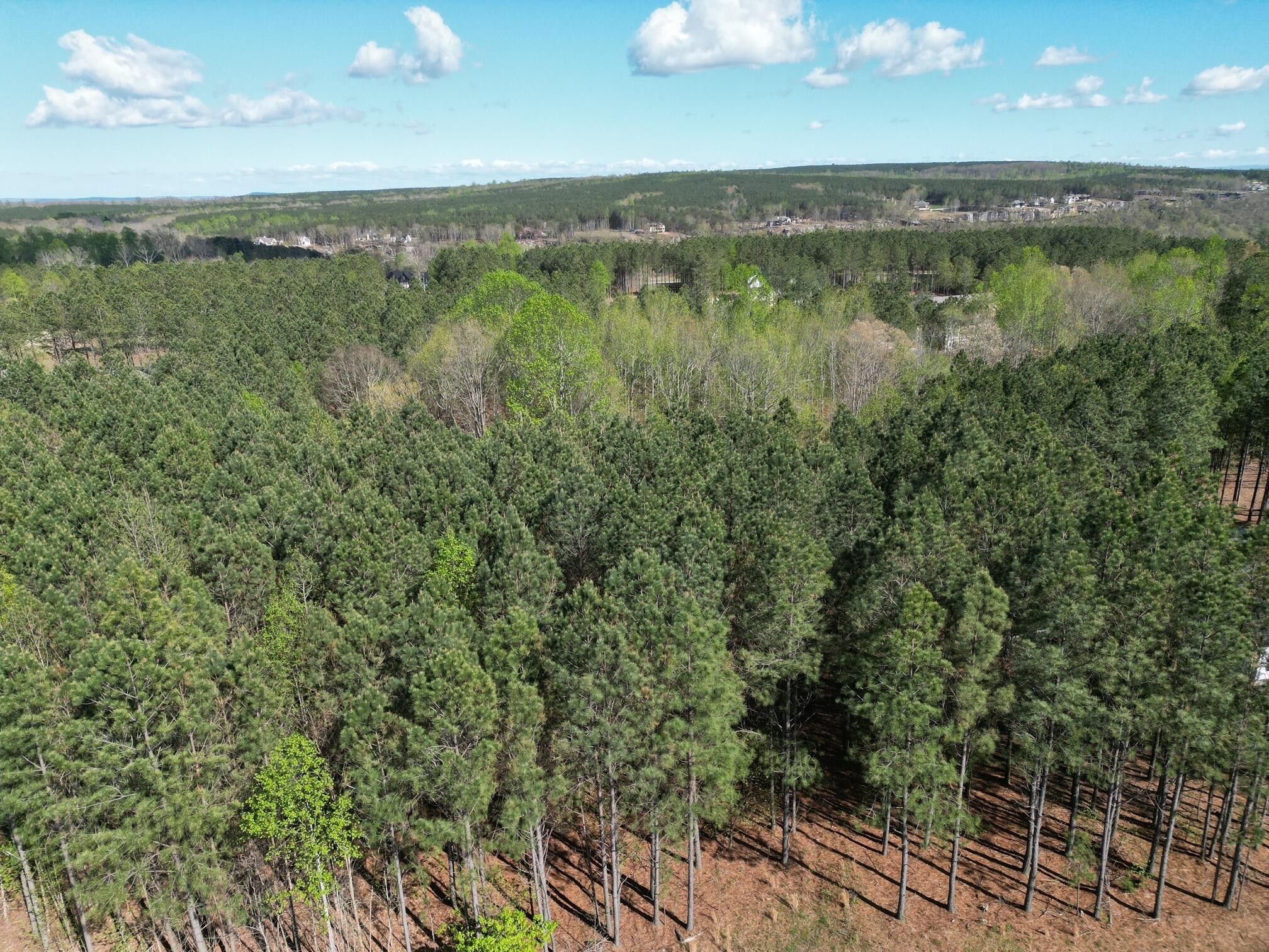 3261 Crockett Pointe Jasper, TN 37347 - Photo 3 of 31 a view of a lake with a yard