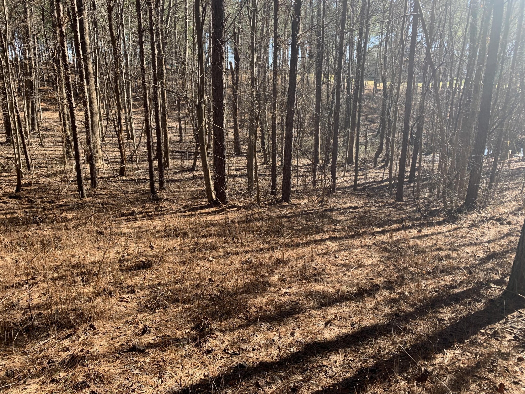 3261 Crockett Pointe Jasper, TN 37347 - Photo 7 of 31 a view of outdoor space with parking