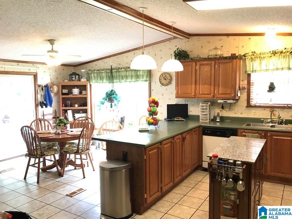 381 Harts Ferry Road Ohatchee, AL 36271 - Photo 4 of 47 Gallery Image 4