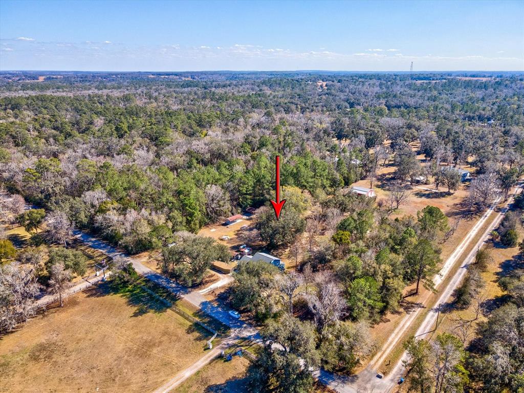 24420 Lanark Road Brooksville, FL 34601 - Photo 51 of 56