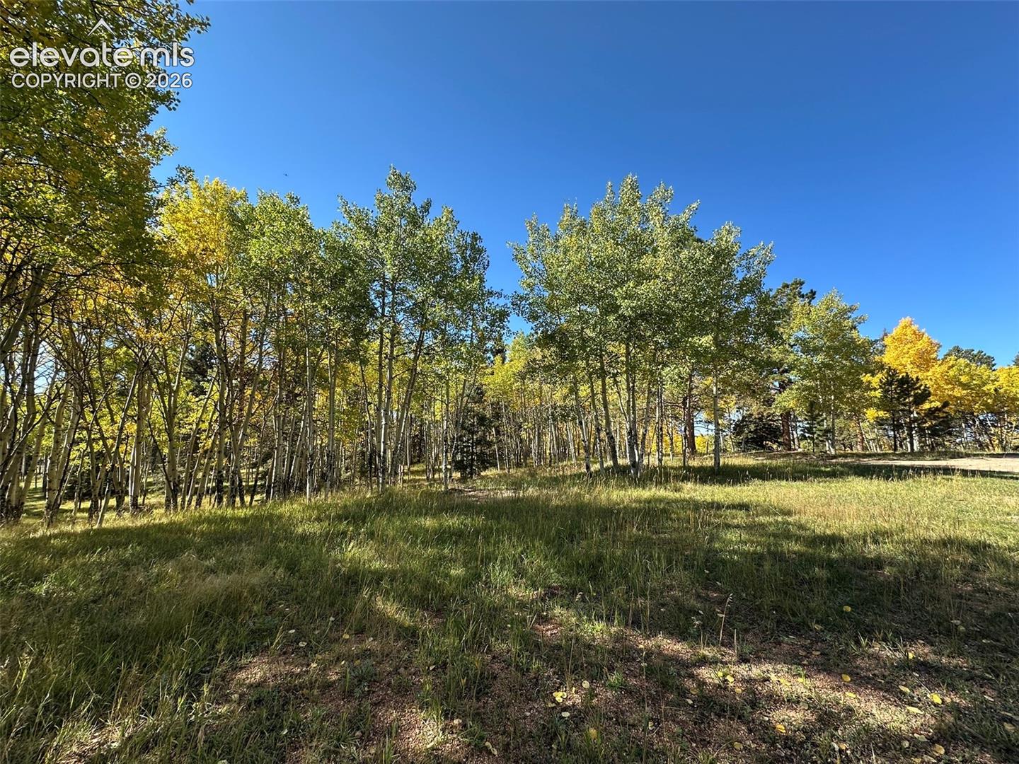 2940 NORTH Rd Divide Divide, CO 80814 - Photo 11 of 27 E