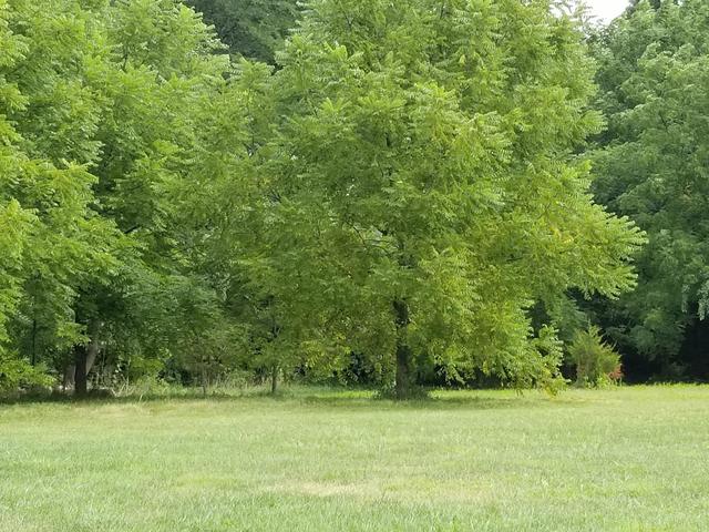2558 Evans Road Magnolia, IL 61336 - Photo 44 of 59