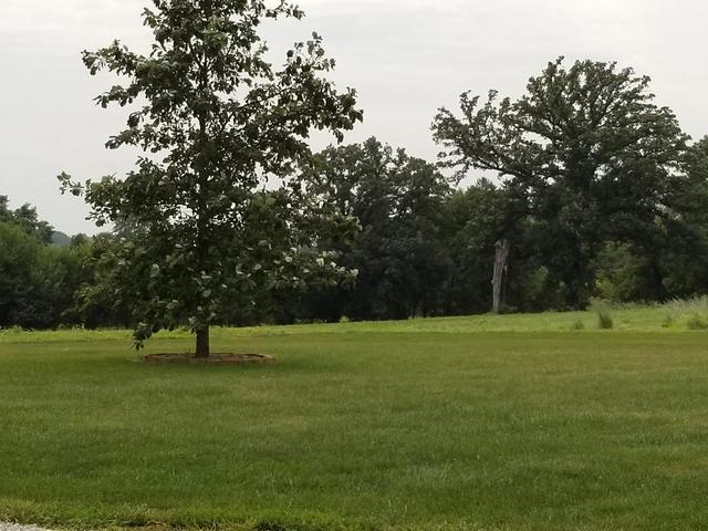2558 Evans Road Magnolia, IL 61336 - Photo 45 of 59