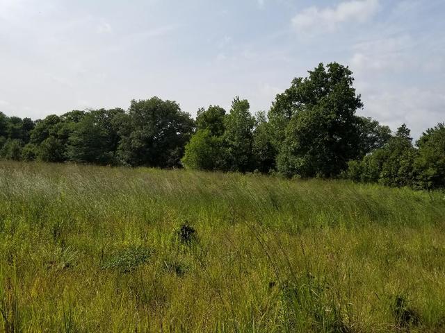 2558 Evans Road Magnolia, IL 61336 - Photo 46 of 59