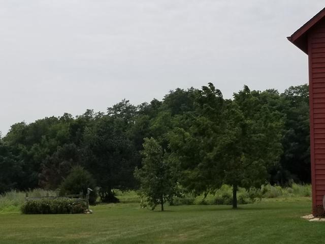2558 Evans Road Magnolia, IL 61336 - Photo 47 of 59