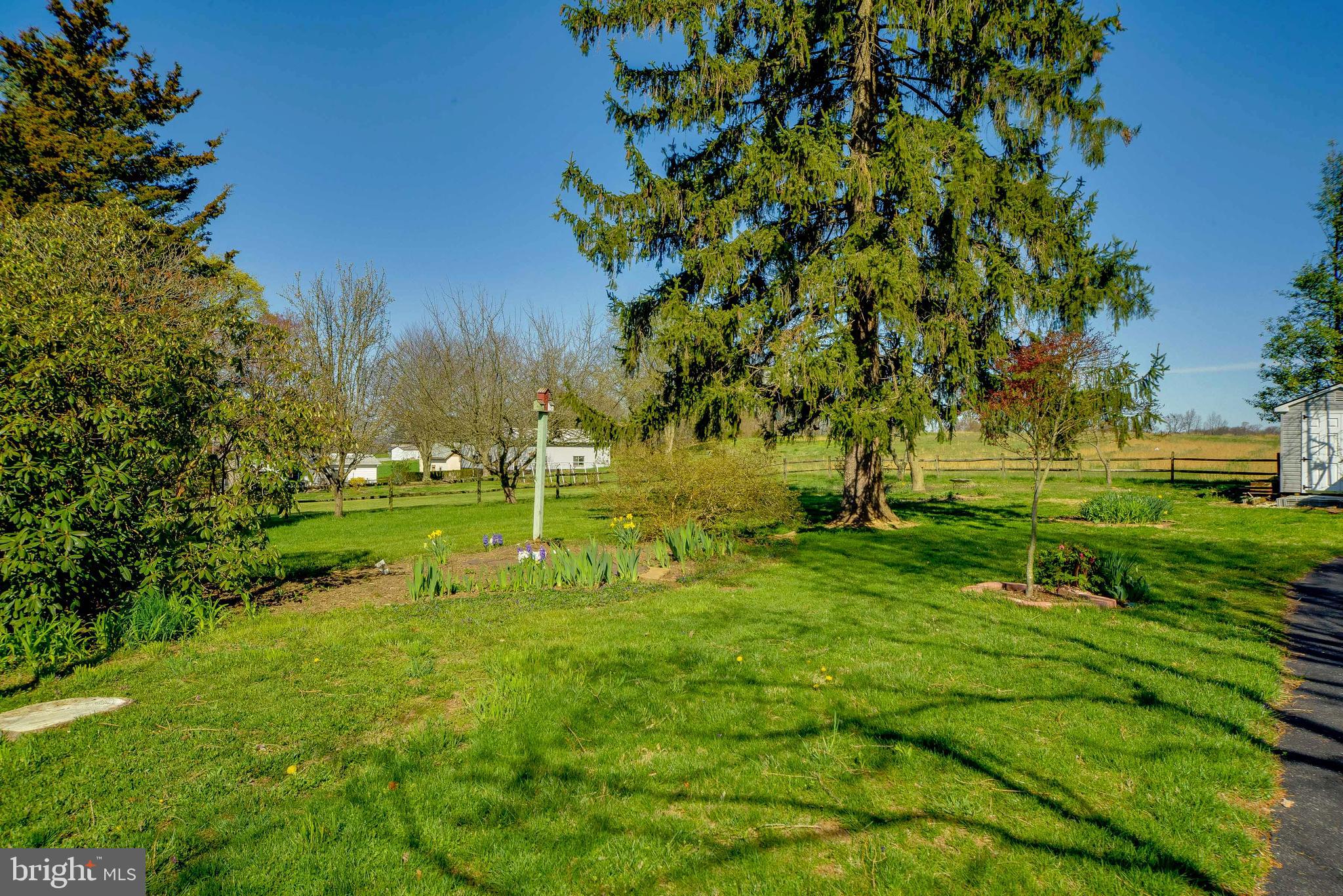 16 Holy Cross Road Street, MD 21154 - Photo 52 of 53 Yard View