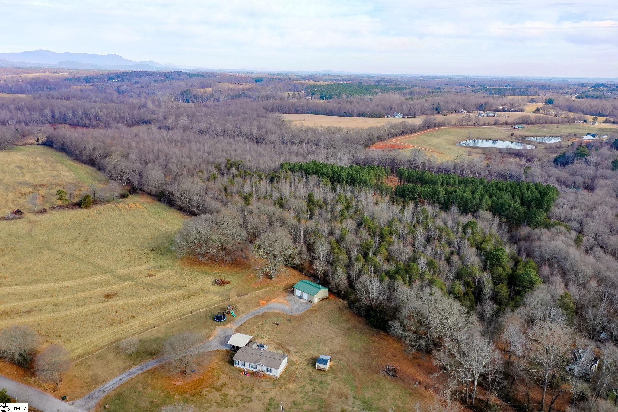 4655 Cockrell Road Greer, SC 29651 - Photo 11 of 35