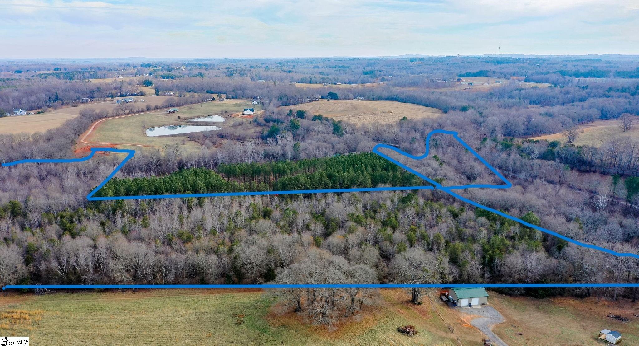 4655 Cockrell Road Greer, SC 29651 - Photo 13 of 35