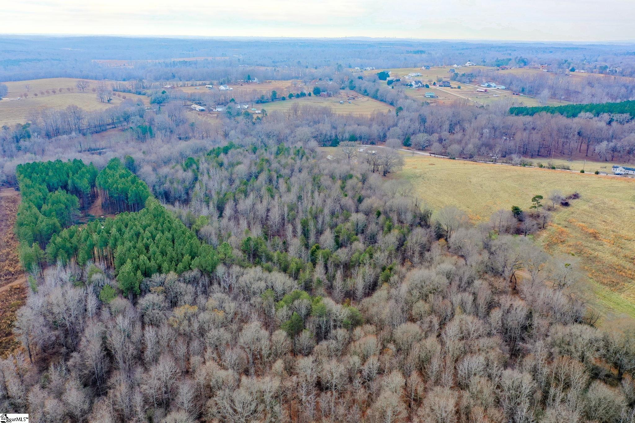 4655 Cockrell Road Greer, SC 29651 - Photo 14 of 35