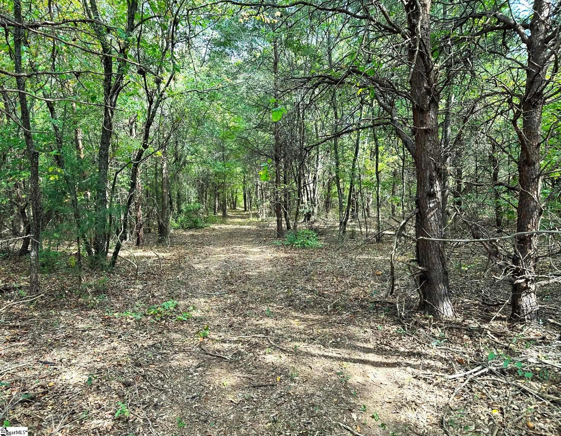 4655 Cockrell Road Greer, SC 29651 - Photo 29 of 35