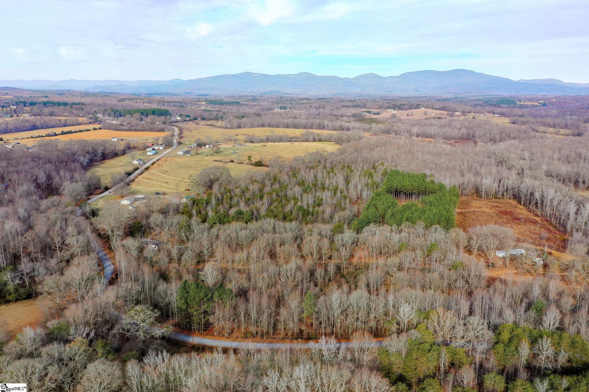 4655 Cockrell Road Greer, SC 29651 - Photo 3 of 35