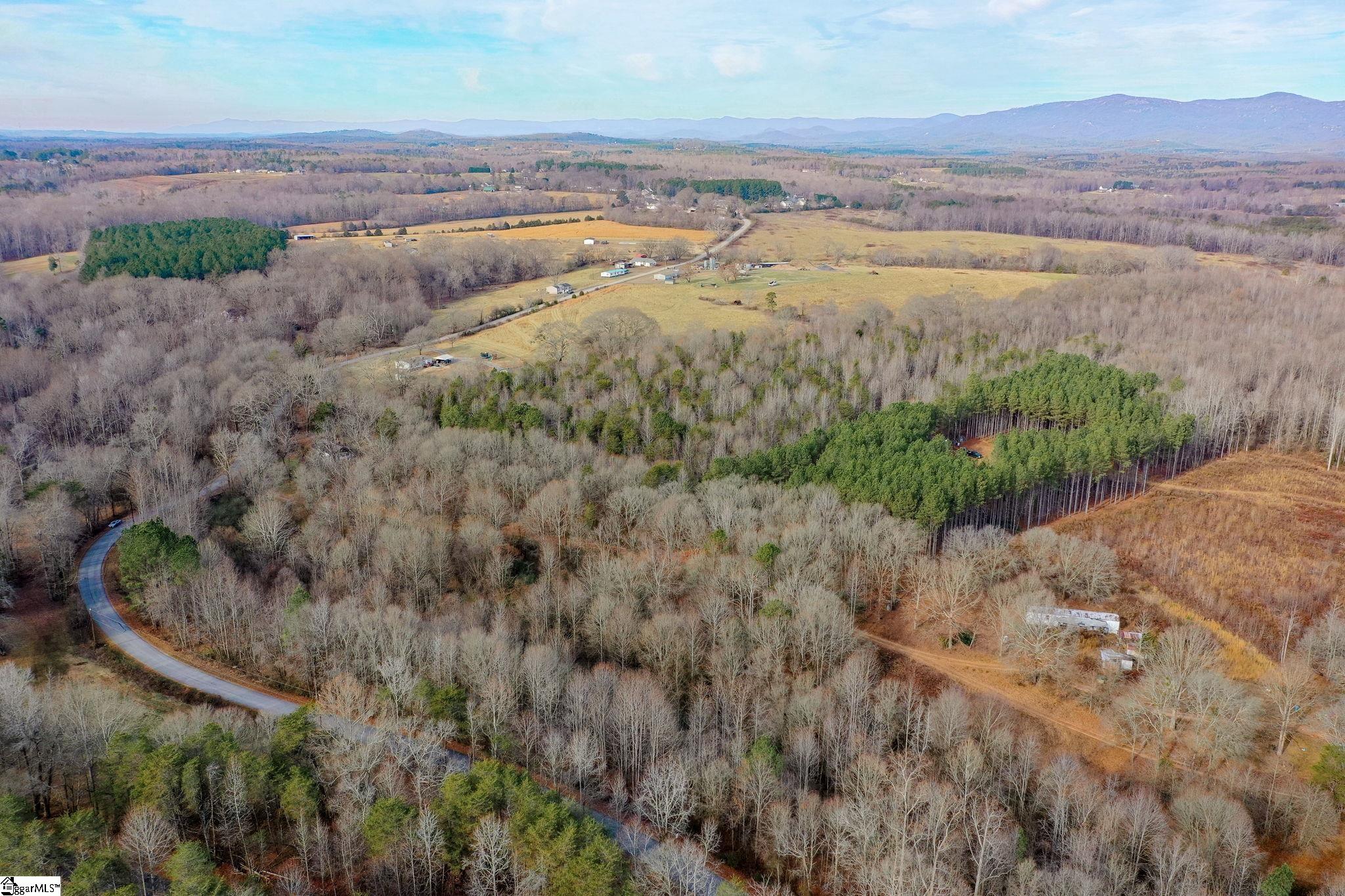4655 Cockrell Road Greer, SC 29651 - Photo 4 of 35