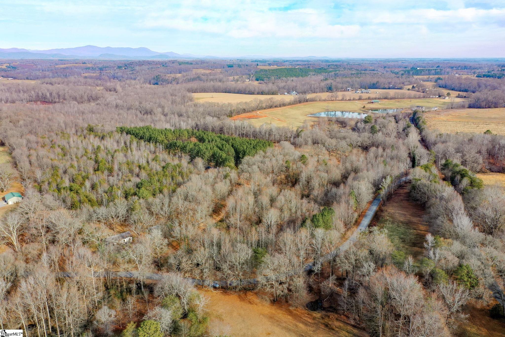 4655 Cockrell Road Greer, SC 29651 - Photo 5 of 35