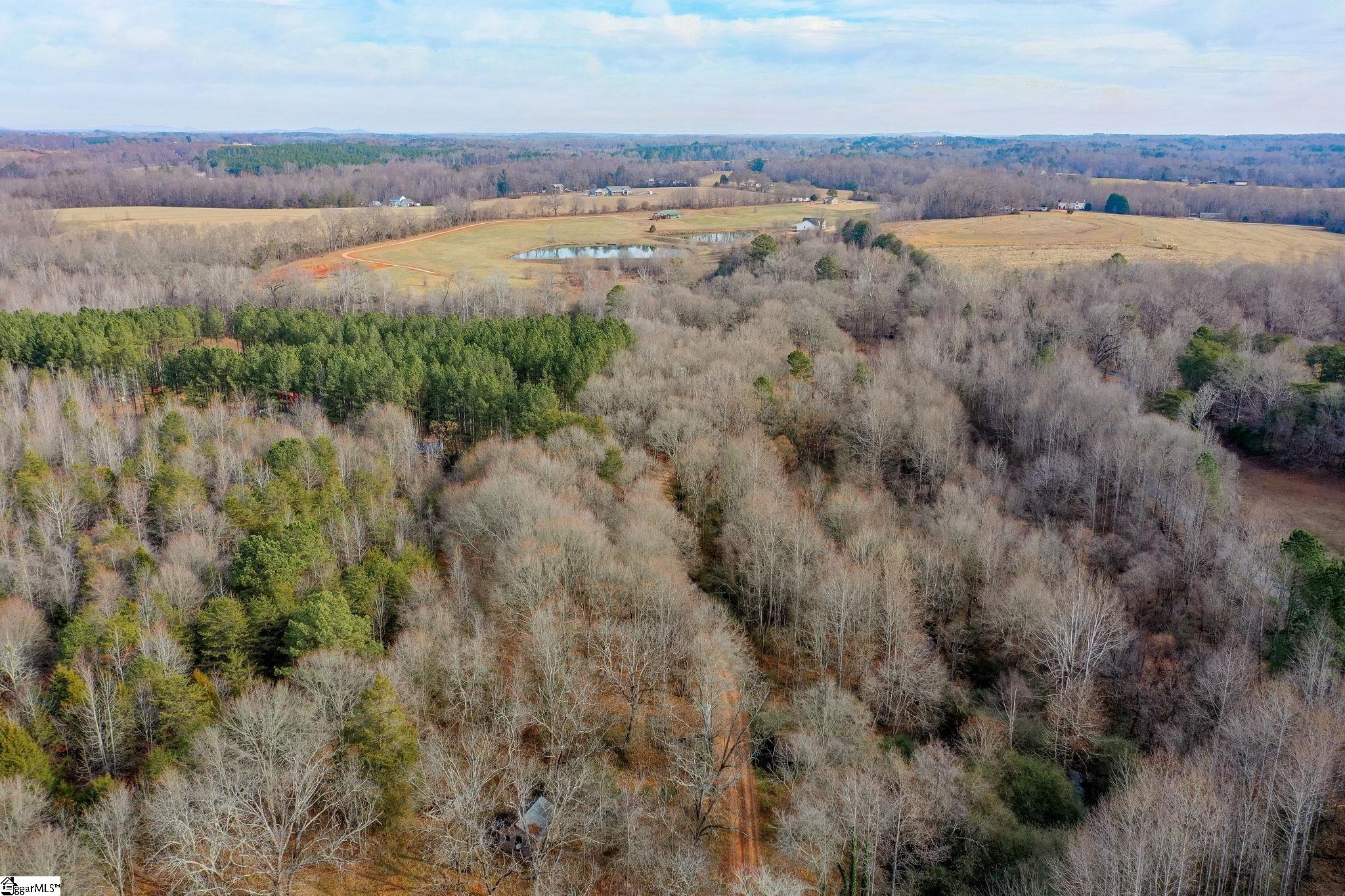 4655 Cockrell Road Greer, SC 29651 - Photo 7 of 35