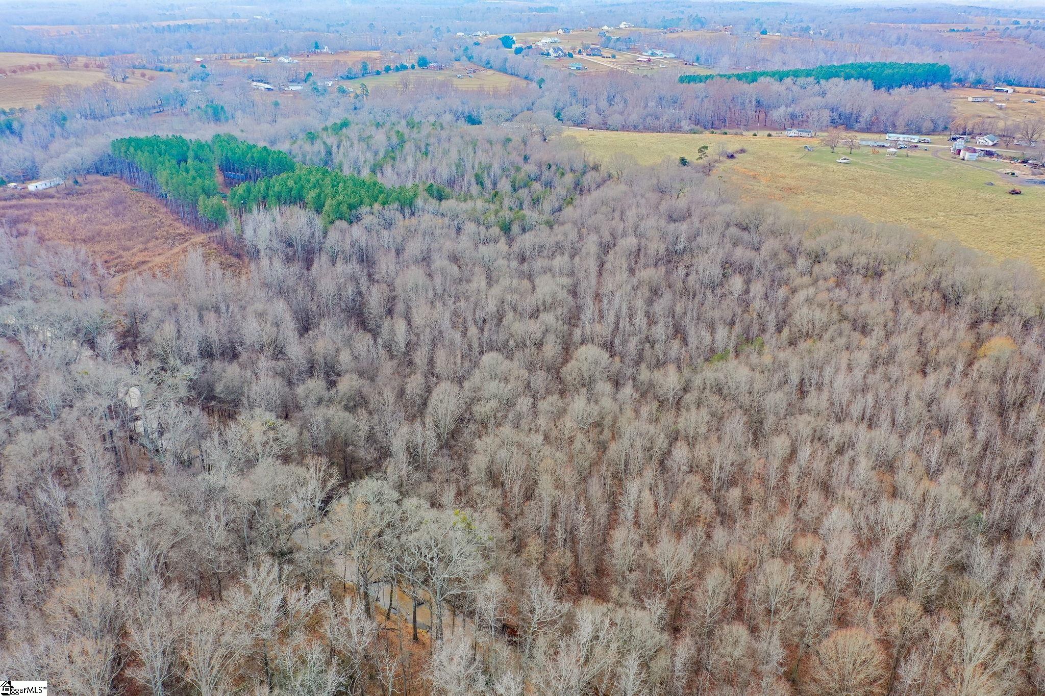 4655 Cockrell Road Greer, SC 29651 - Photo 8 of 35