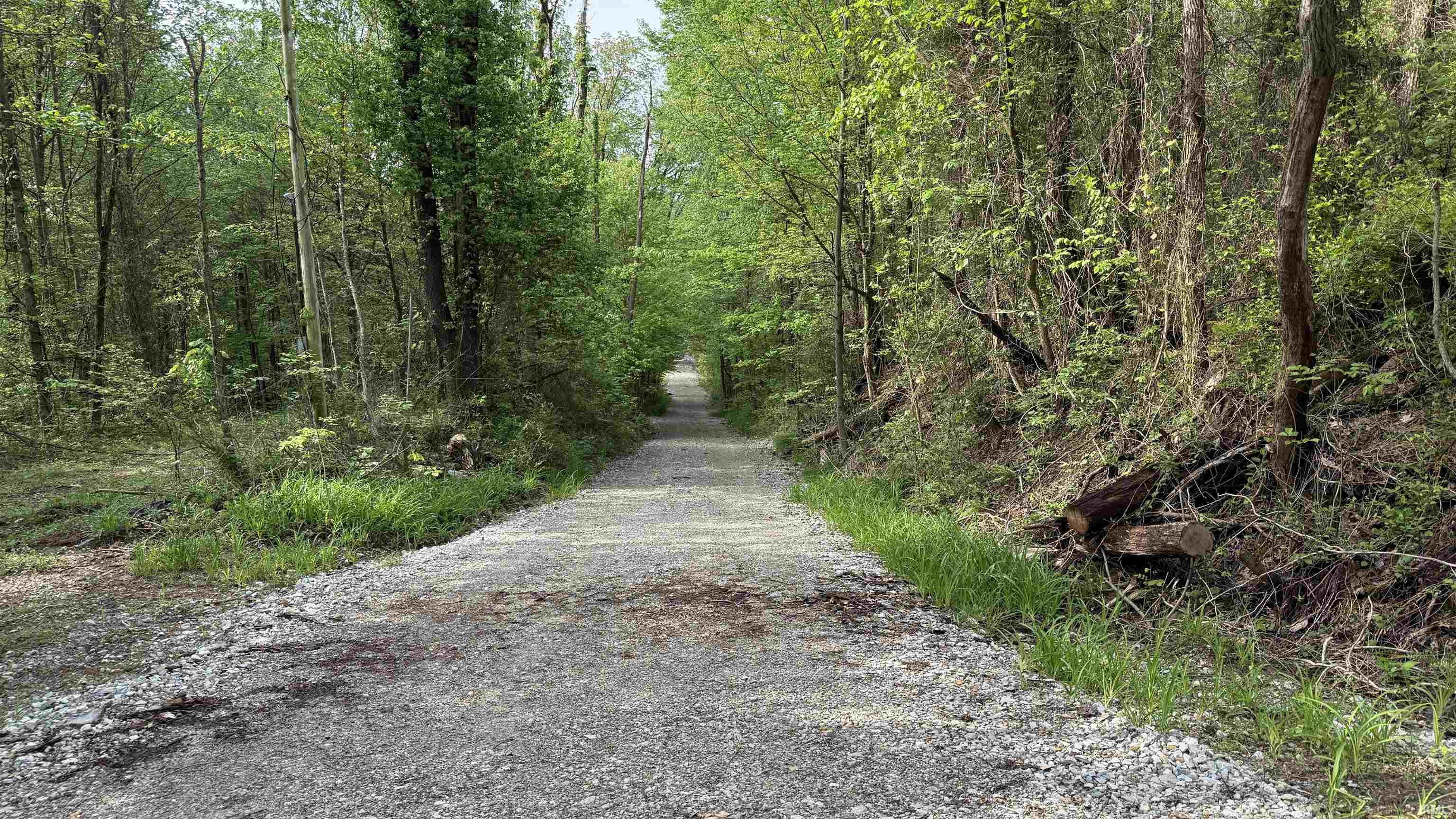 4 Fiscus Cemetery Road Coal City, IN 47427 - Photo 3 of 11