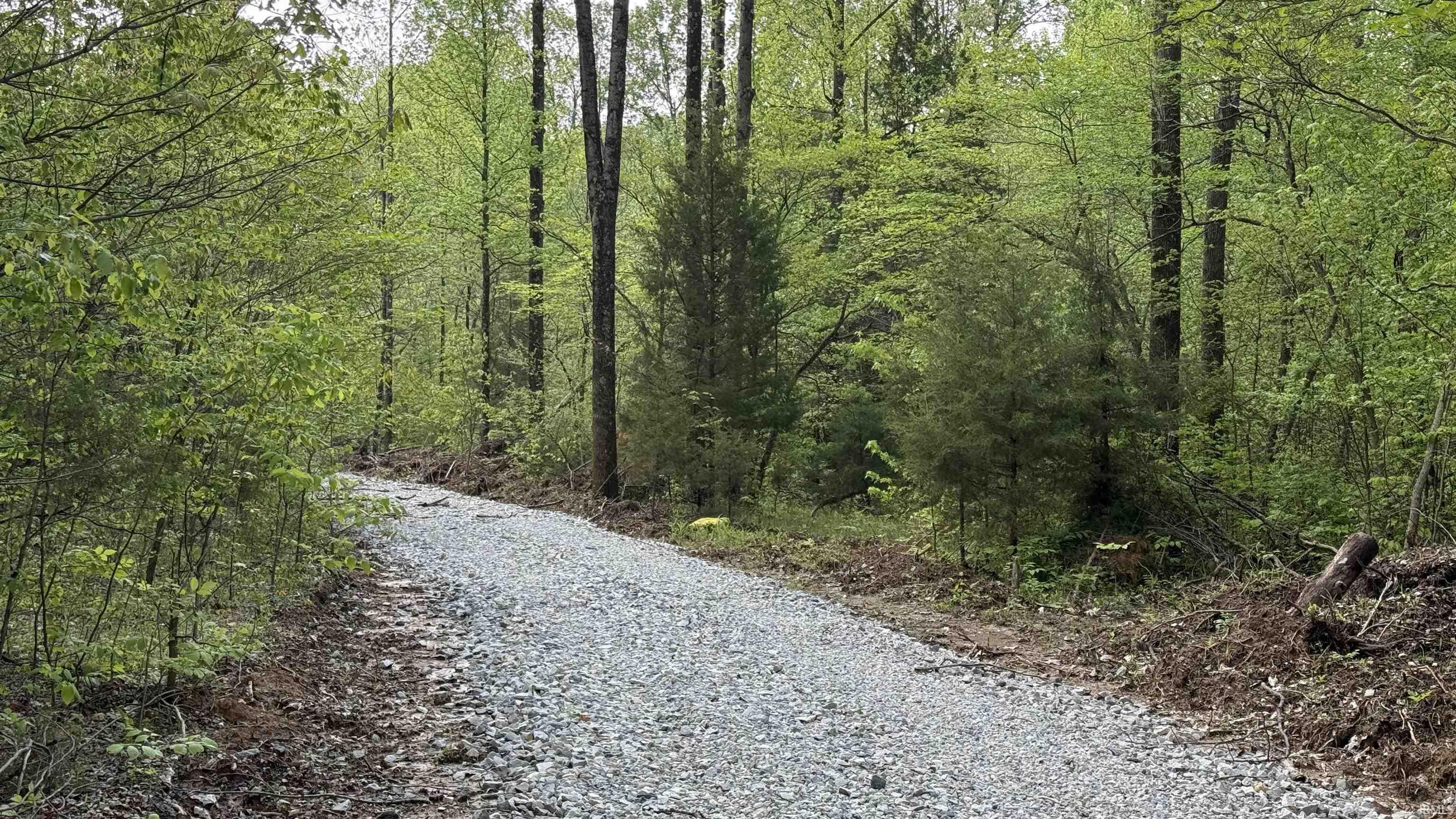 4 Fiscus Cemetery Road Coal City, IN 47427 - Photo 5 of 11