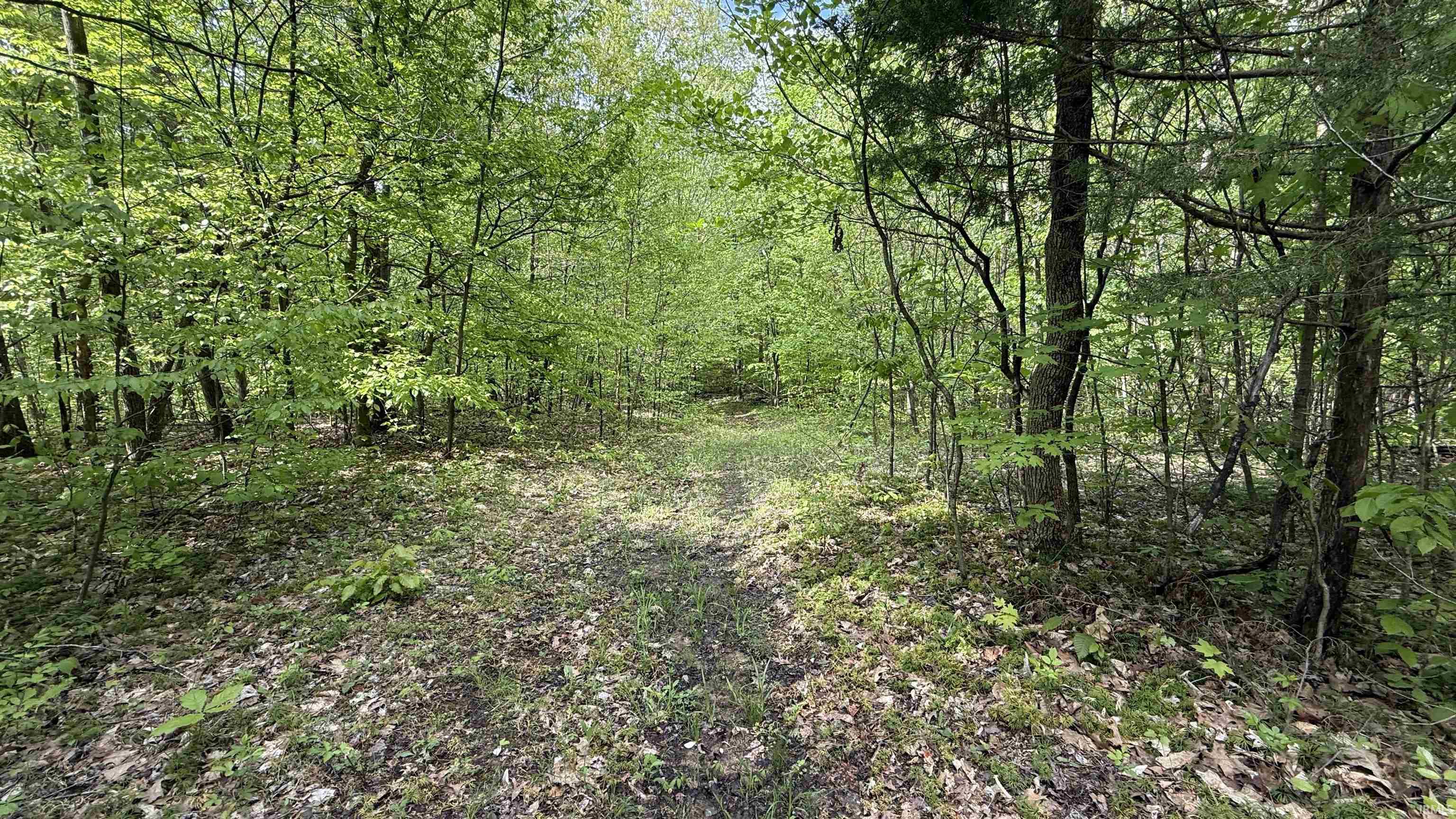 4 Fiscus Cemetery Road Coal City, IN 47427 - Photo 7 of 11