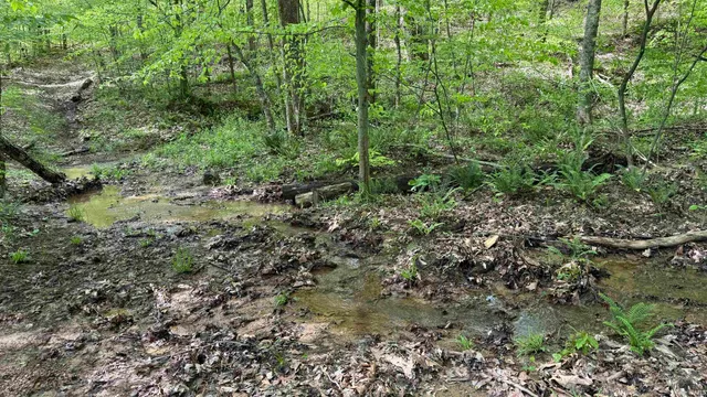 $209,900 | 4 Fiscus Cemetery Road, Coal City, IN 47427