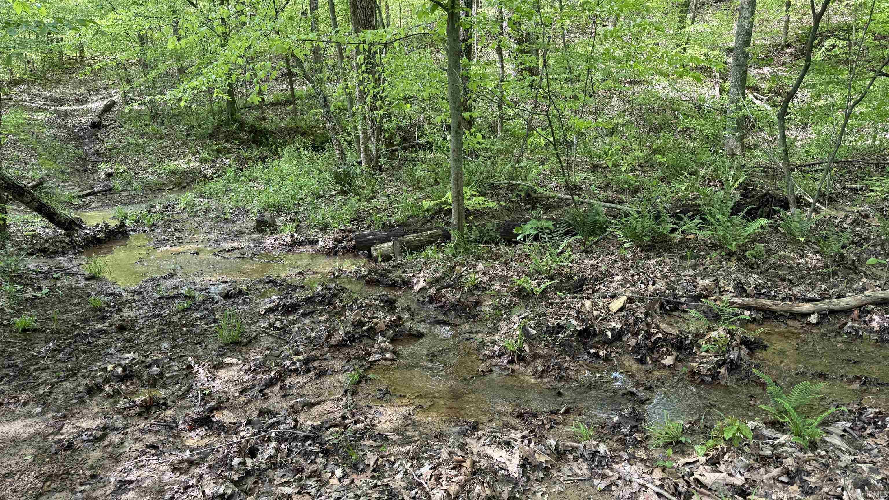 4 Fiscus Cemetery Road Coal City, IN 47427 - Photo 8 of 11