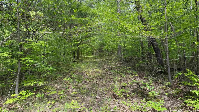 $209,900 | 4 Fiscus Cemetery Road, Coal City, IN 47427