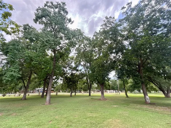 a big yard with lots of green space and trees