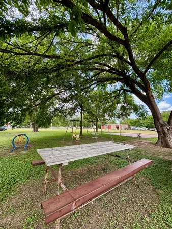 a view of a garden with wooden fence