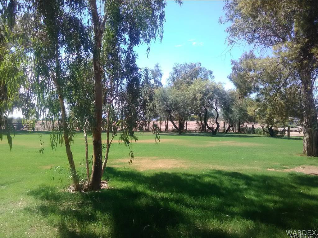 8485 Boundary Peak Road Mohave Valley, AZ 86440 - Photo 20 of 40 a view of field with trees